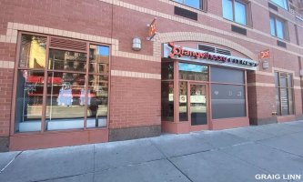 393 W 49TH Street 5R
