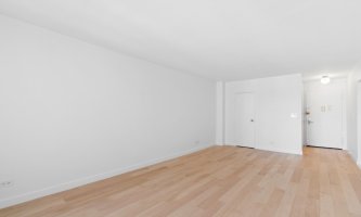 345 E 80th Street 18A