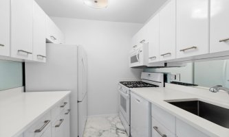 345 E 80th Street 18A
